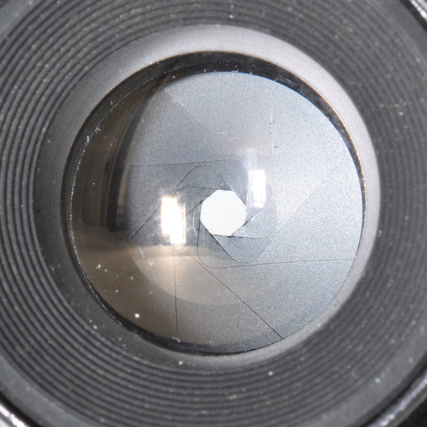 Nikon EL Nikkor 50mm F/2.8 Enlarging Lens M39 w/Case Excellent Japan 0183