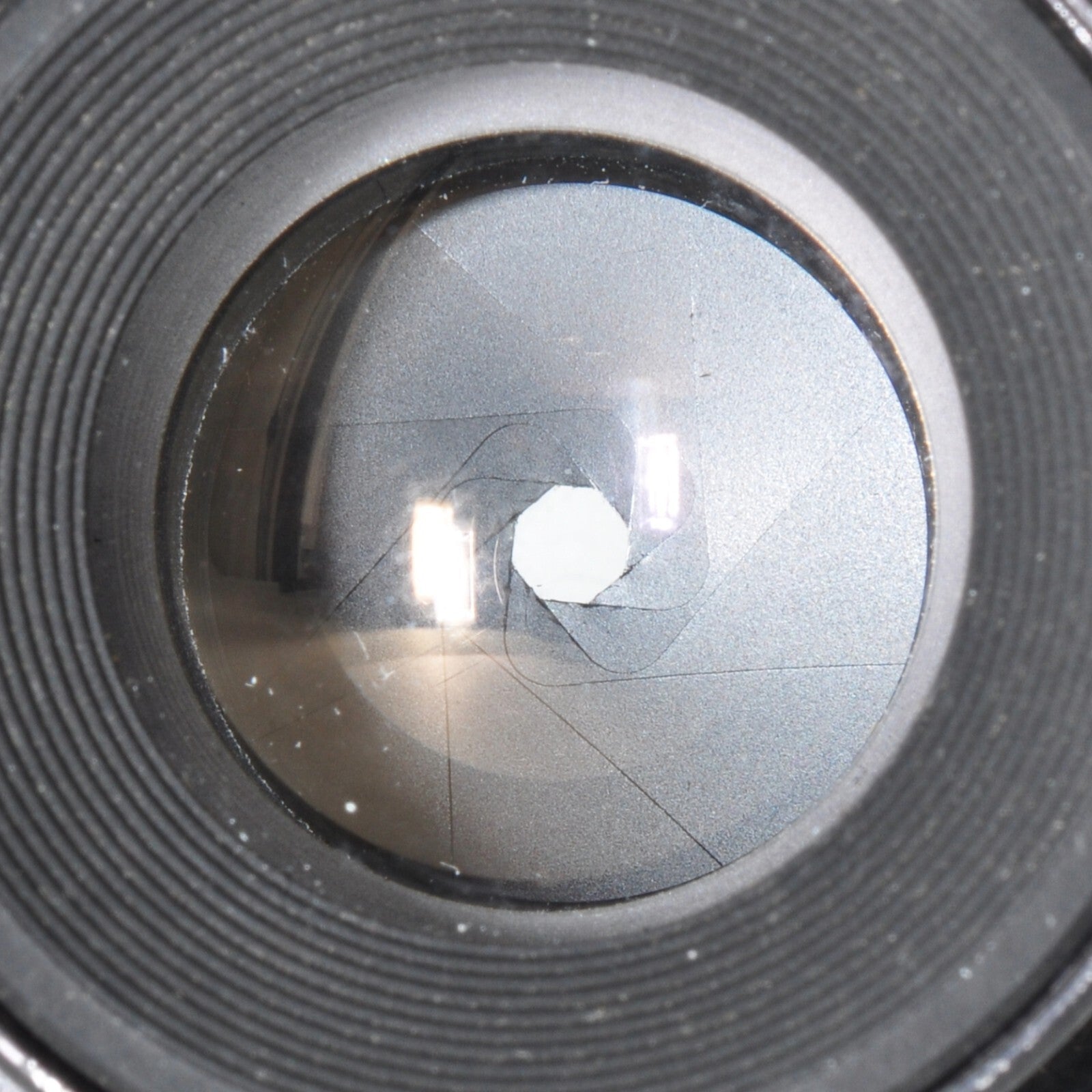 Nikon EL Nikkor 50mm F/2.8 Enlarging Lens M39 w/Case Excellent Japan 0183